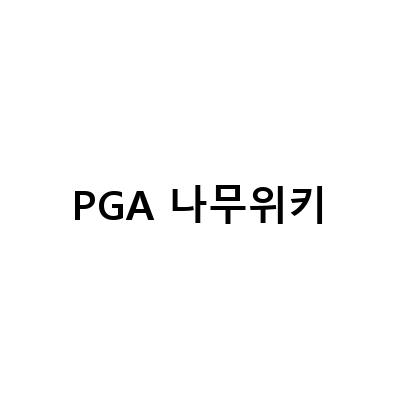 김시우, PGA 투어 소니오픈 역전 우승과 결혼 소식!