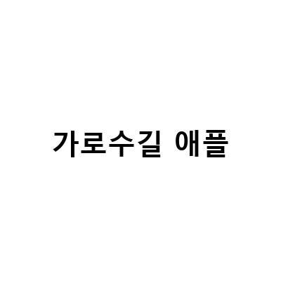 맥북 프로 16인치 리퍼 가격, 가로수길 애플 매장에서 애플케어+ 포함 구매 시 혜택까지!