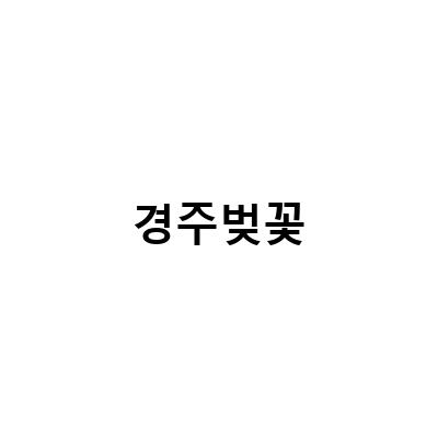 2023 경주벚꽃마라톤, 벚꽃 여행, 데이트맛집, 애견과 함께 즐기는 원조떡갈비 추천