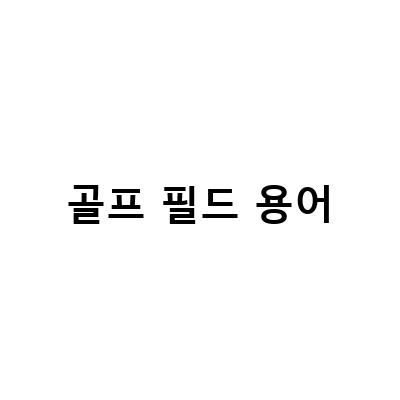 골프 필드 용어: 라운딩 초보자를 위한 필수 가이드