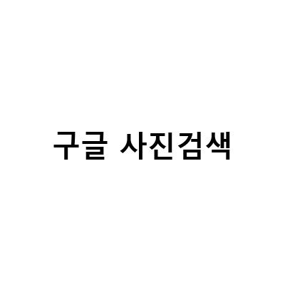 챗GPT, 구글 렌즈, 이미지 번역 등 – 검색의 미래와 현재