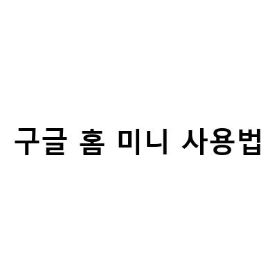 구글홈 미니 스피커 사용법과 구입 방법