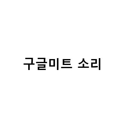 구글 미트 사용법과 함께하는 화상 레슨 플랫폼 추가 안내