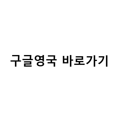 “구글 검색 제한 우회 방법과 프랑스, 영국, 일본, 호주 구글 사이트 바로가기”