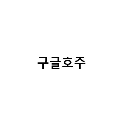 구글 성인인증 우회 방법과 WTD 호주 2022 참가 방법
