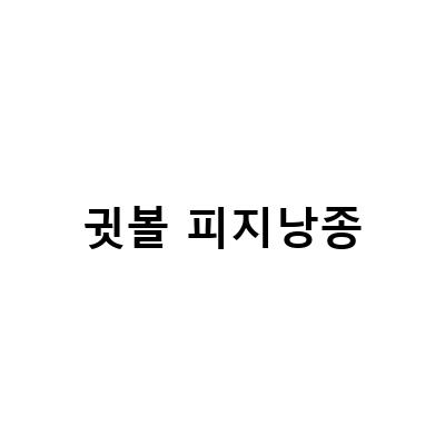 귓볼 몽우리 원인 제거! 피지낭종과 귓볼 염증, 켈로이드의 차이점 알아보기