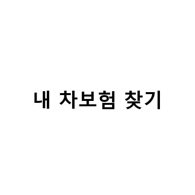 자동차 보험 가입 시 유의사항과 내 차보험 찾기 방법