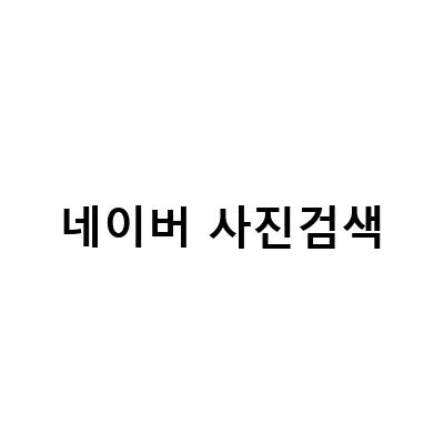 네이버 이미지 검색 순위 올리는 방법! 모바일 PC 모두 가능한 스마트렌즈와 PC 사진 찾기 사용법