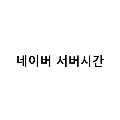 네이버 서버시계와 카카오 서버시계의 이원화 이유와 초 단위까지 정확한 온라인 확인 방법