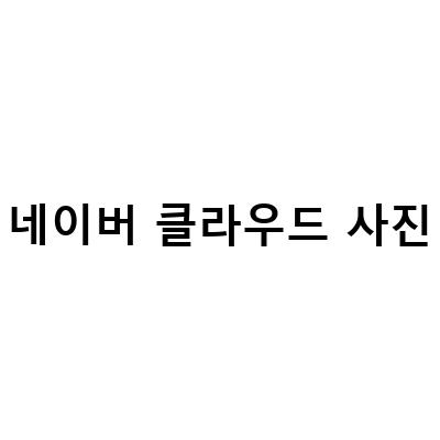 네이버 클라우드 마이박스를 활용한 인물 사진 정리 방법과 용량, 가격 정보