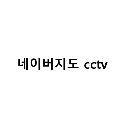실시간 CCTV로 귀성길 도로 상황 확인하는 법