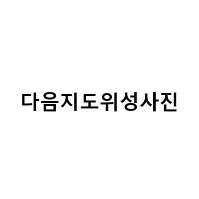 다음지도와 네이버지도의 모든 기능을 활용하는 방법