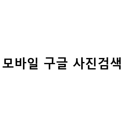 모바일에서 구글 이미지 검색과 번역, 구글 렌즈 활용법