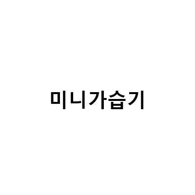디디오랩 무선 미니 가습기와 10000mAh 보조배터리: 활용도와 작동시간