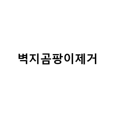 벽지 곰팡이 제거 전문가의 노하우, 겉과 속 모두 깨끗하게!