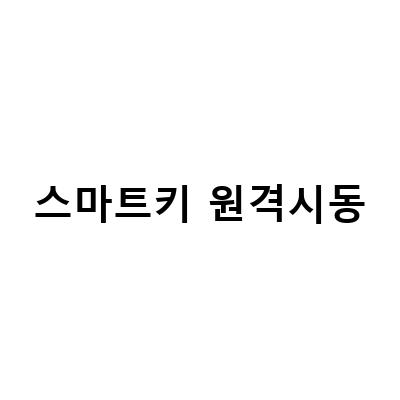 아반떼MD 스마트키 원격시동과 근접도어 스타트버튼 설치 가이드