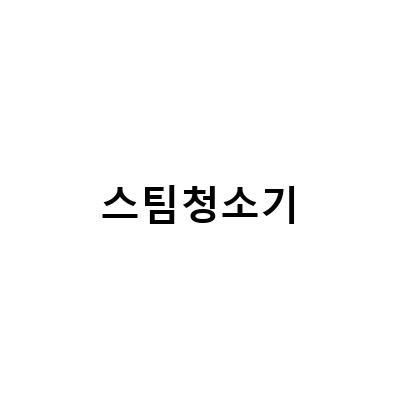 비쎌 vs 퀸레이블, 봄철 대청소를 위한 최고의 스팀청소기 비교