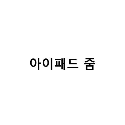 아이패드와 갤럭시탭에서 줌 이름바꾸기 및 화면 녹화하는 방법