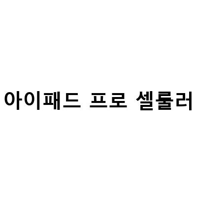 아이패드 프로 셀룰러 모델 개통과 중고거래 시 주의할 점