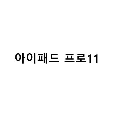 2022 아이패드 프로 M2 vs M1 4세대 129인치 11인치 가격 비교 및 구조독 아이패드 프로 11 호환 매직 리뷰