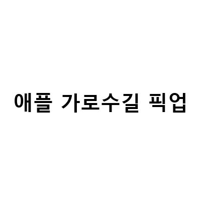 애플 가로수길, 아이패드 프로 129인치 실버 픽업 동반입장! 최신 아이패드 프로를 만나보세요!