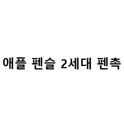 애플펜슬 2세대 호환 짭플펜슬 – 무선충전 및 펜촉도 좋아요!