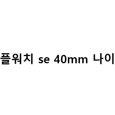 애플워치 SE 40mm GPS 스페이스그레이 나이키에디션 구매 후기와 추천 이유