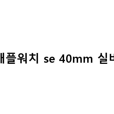 애플워치 SE 40mm 실버, 가격부터 기능까지 알아보자!