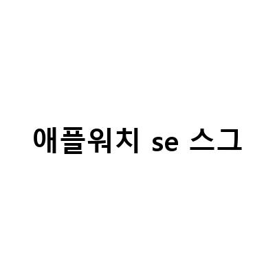 애플워치 SE 스그에 어울리는 스트랩 추천! 줄질 시작하기 전에 확인하세요