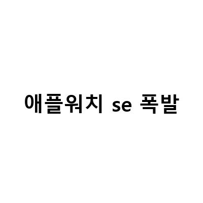 생일선물로 준비한 애플워치SE 40mm 실버밀레니즈루프, 소비 일기, 쾌유기