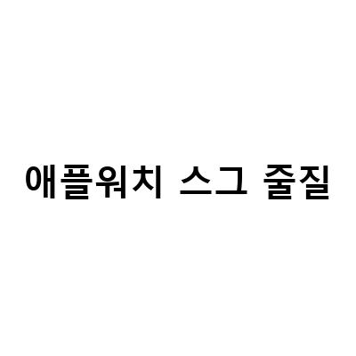 애플워치 SE 스그에 어울리는 SSG닷컴 추천 스트랩