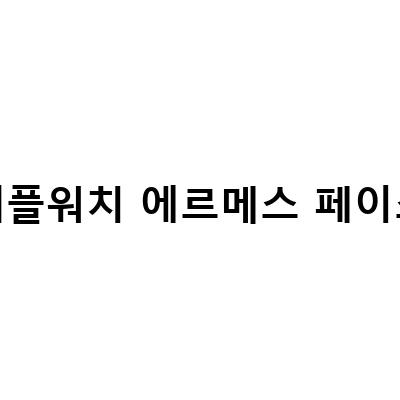 애플워치 에르메스 페이스와 함께하는 라이프스타일, watchanything
