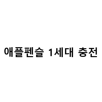 아이패드 9세대를 위한 펜슬 애플펜슬 호환 인식 충전 정리 가이드