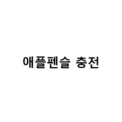 애플펜슬 2세대 호환 짭플펜슬 충전 및 펜촉 문제 해결 방법