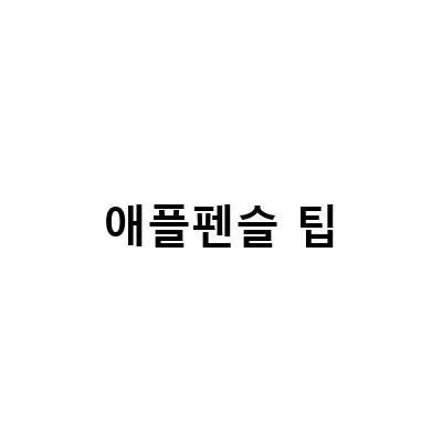 엘라고 애플펜슬 메탈 팁과 아이펠리 일체형 실리콘 팁 비교 리뷰