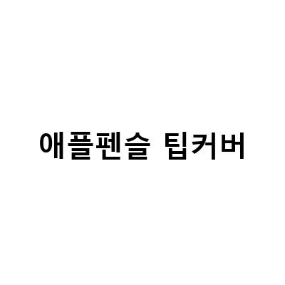아이패드 에어5 및 애플펜슬팁커버 방문수령, 팁커버가 아닌 펜촉을, 애플 펜슬 펜촉 라이트 구매 후기