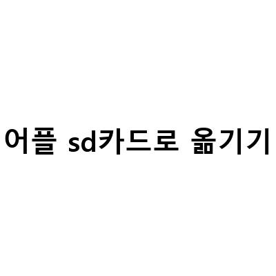 쉽고 빠른 방법! 애플 라이트닝 SD카드 리더기로 Cam Remote 어플로 휴대폰 SD카드에 사진과 동영상 옮기기