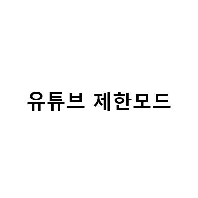 유튜브 제한모드 연령제한 해제하는 방법과 유의사항
