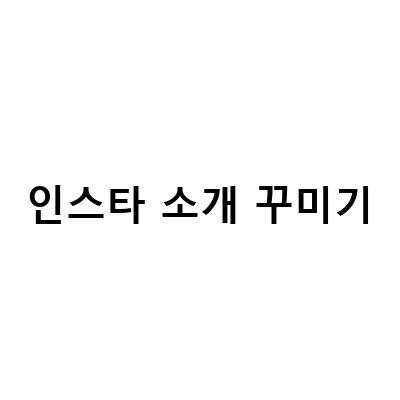 인스타그램 소개글 꾸미기: 시현하다 이태원 지선 인스타 소개글 완성법