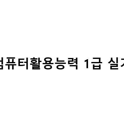 컴퓨터 활용능력 1급 실기 합격을 위한 독학과 열람 전략