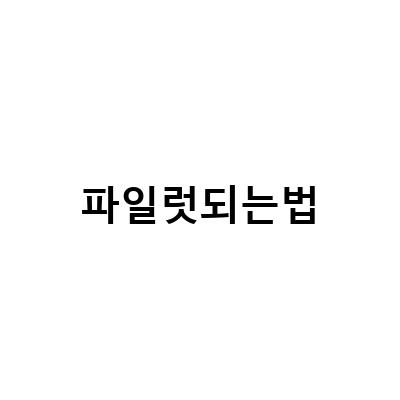 미국항공유학으로 파일럿이 되는 방법과 필수 확인사항