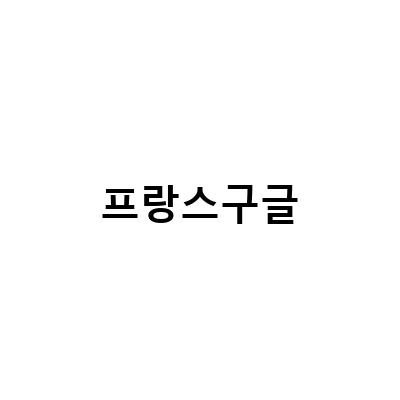 다국어 사용자를 위한 구글 주소 바로가기 링크 모음
