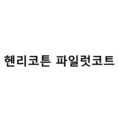남성 겨울 코트 추천! 헨리코튼 파일럿 코트 D pilotX로 스타일 UP