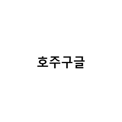 호주구글 링크 안막힌 방법 – WTD 호주 2022 문서 검색의 핵심!