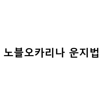 노블 오카리나 선물 도착, 노블오카리나 AC 도자기 오카리나 운지법