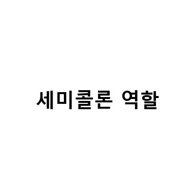세미콜론 역할-콤마, 콜론, 세미콜론, 대시의 역할과 의미: 강의 읽기 6일차 귀스타브 플로베르 세미콜론과 and의 역할, 소소하지만 사소하지는 않은 셈콜터뷰