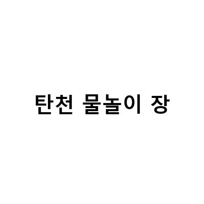 분당 탄천 물놀이장, 아이들과 함께 즐기는 물놀이 팁과 정보