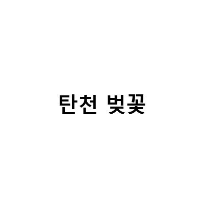 가든파이브와 탄천에서 즐기는 봄날 데이트 코스, 송파와 분당 벚꽃명소 추천