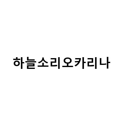 “하늘소리 오카리나 봉사활동, 득템한 경험과 함께하는 이야기”