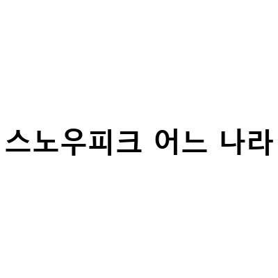 스노우피크 어느 나라-캠핑을 더욱 편리하게 만들어줄 스노우피크 용품 리뷰